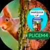 plicem4