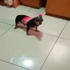bolodechocolateazedo69