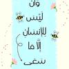 wafaasayed547