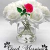 blessingdz4
