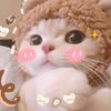 petforever1314