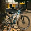 brichis754