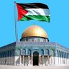 mohamedhaddad5743