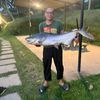 ariff_446