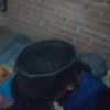msafii_0