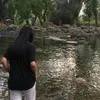 janebcy0