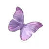 pixiewhimsywap