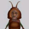 en1d_e5