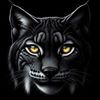 lynxnoireeeqc