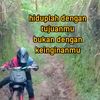 rxking_hideng