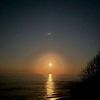 skye_davies2870