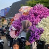 Fresh flowers pertama sukorejo