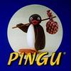 pingu8377