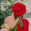user3445774505128