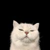 nazerke_10_29_