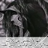 mehamed.kamal