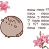 kotein_oda