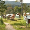 Lang Thang Măng Đen