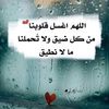 user87125960366293