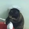 ponyoo_ya