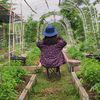 nongnuchgardener