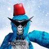 polar_vr26