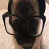 rakonagibator