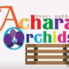 Achara Phan