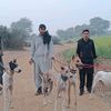 hammad.ch756