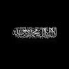 shahdmohammed9048