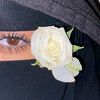 shah_zadi12_