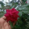 userkeya41