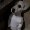 unknownbyw