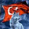 ferhatenes34