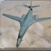 adiborecki7
