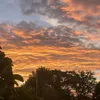 sara.gabriely.65
