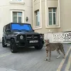 Ana