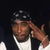 incognito_dreams2026