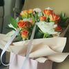 5_ivilli