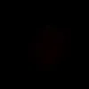 cami_10808