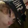 samuelmc41