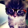 naba.nawfal