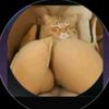 mandi.mouse3