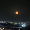saleh_rc40