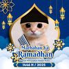 pp_kucing20