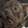 lwphw5