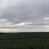 julio.silva3643