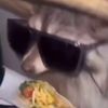 tacoracoon1