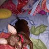 milagrosponce529