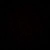 nico_blas16